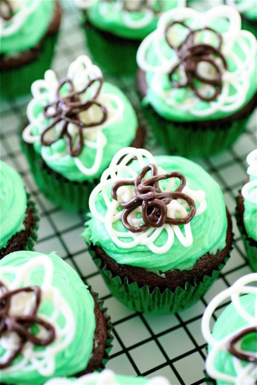 dark chocolate mint chip cupcakes.