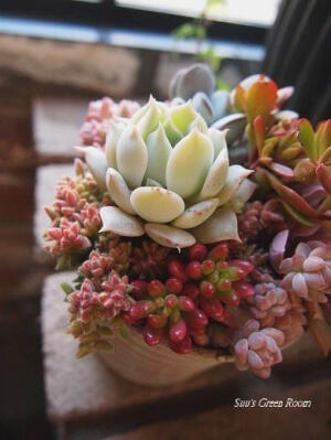 装满爱❤