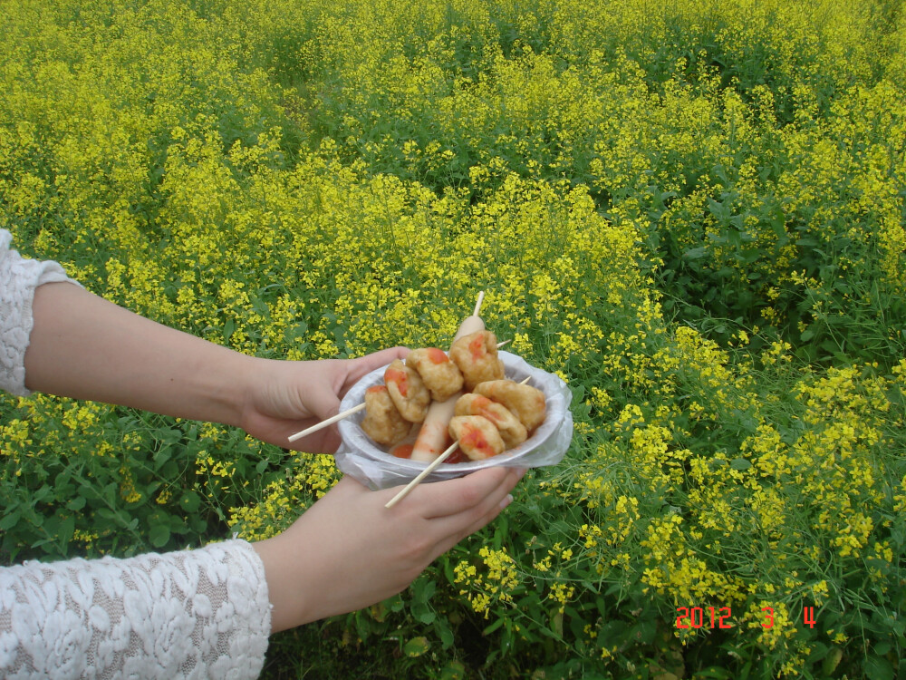 在吃货眼中，美丽的油菜花也瞬间变成了华丽丽的绿叶~~