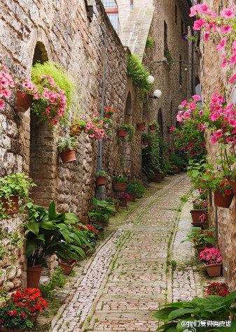 owl【不经意之间】法国最有诗意的一条小巷，到这里的游客都沉醉不知归路。。。