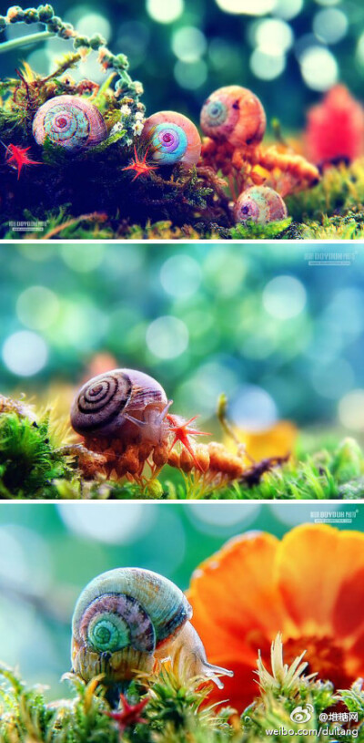 小蜗牛也可以很童话