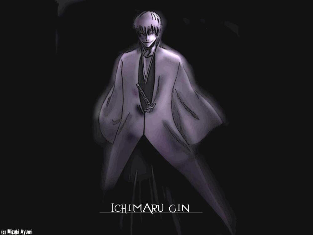 1024 by 768 gin hai guise looking for some ichimaru… / 1024x768 Wallpaper