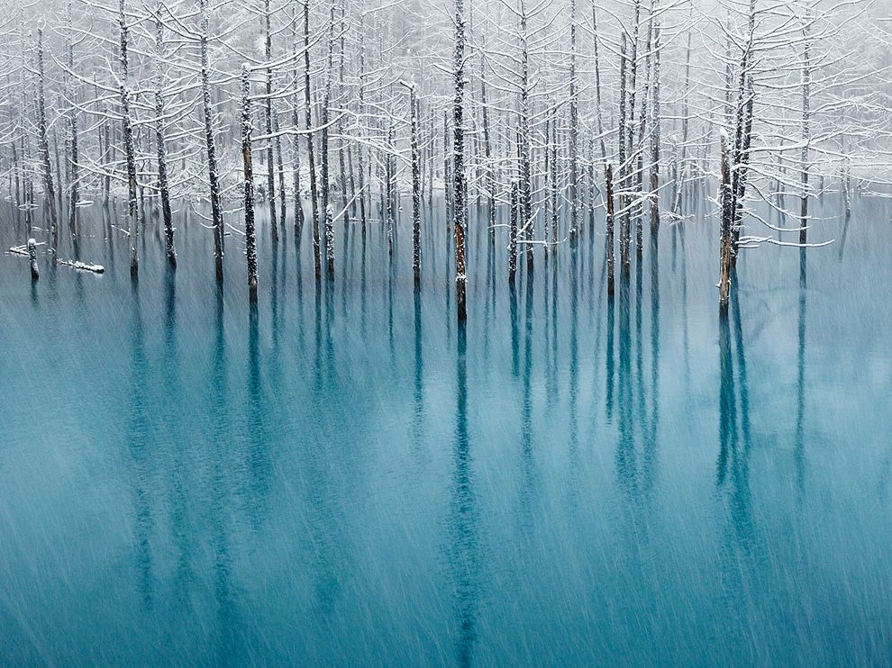 蓝色池塘，北海道Blue Pond, Hokkaido