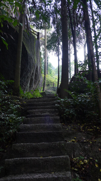 桂平西山某一支路