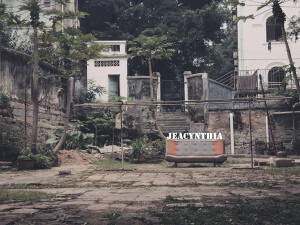 天気がいいから、 散歩しましょう。