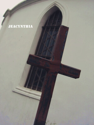 天気がいいから、 散歩しましょう。