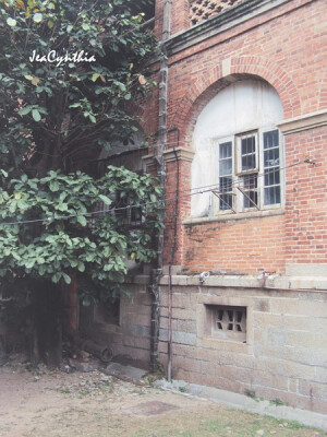 天気がいいから、 散歩しましょう。