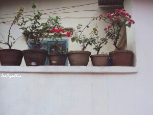 天気がいいから、 散歩しましょう。