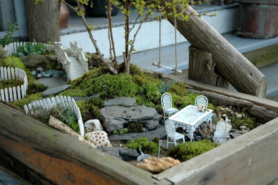 Miniature Gardens