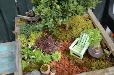 Miniature Gardens