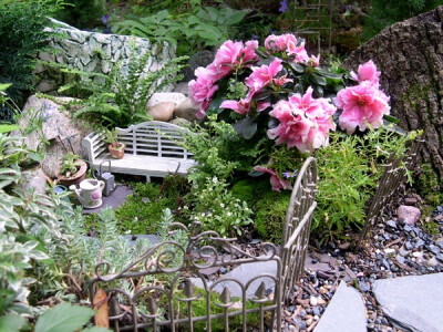 Miniature Gardens