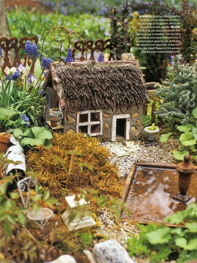 Miniature Gardens