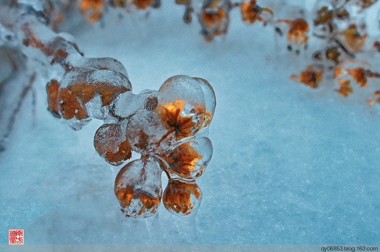 清远也有雪，南风坳，是湖南连接广东的南大门之一。