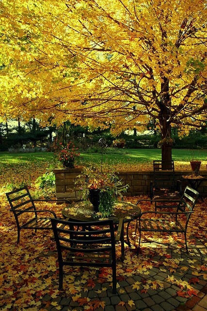 秋天，我在这里～