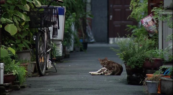 深夜食堂里的和风场景~