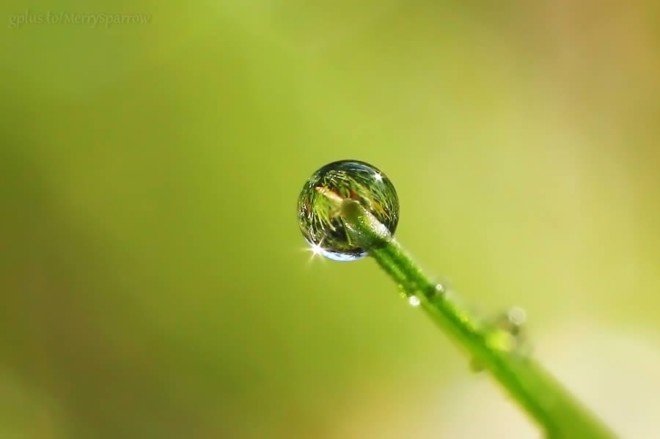 在这里，是在等待一段爱情， 还是在消磨一段岁月