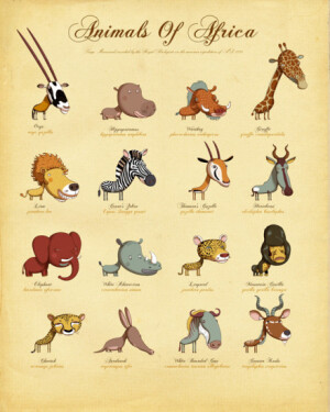 大头动物图鉴设计。好萌