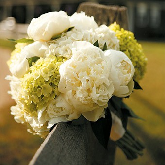 hydrangeas and peonies - so pretty