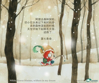 爬爬，第七条命