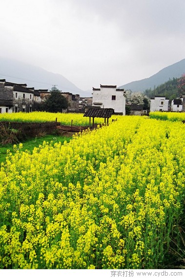 江西婺源 婺源是一颗镶嵌在皖、浙、赣三省交界处的绿色明珠，素有“书乡”、“茶乡”之称，是全国著名的文化与生态旅游县，被外界誉为“中国最美的乡村”。三月的婺源，最美的当然是铺天盖地的油菜花了