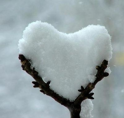 snow heart