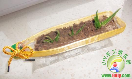 0楼:3_旧物改造~曾经装饮料和口香糖，现在大变脸！！DIY的花盆们 差点忘了它，瓶中信~