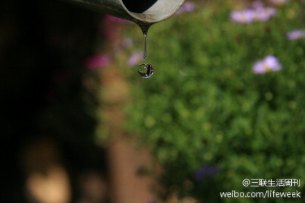 ”天街小雨润如酥，草色遥看近却无。最是一年春好处，绝胜烟柳满皇都。“ ——唐·韩愈