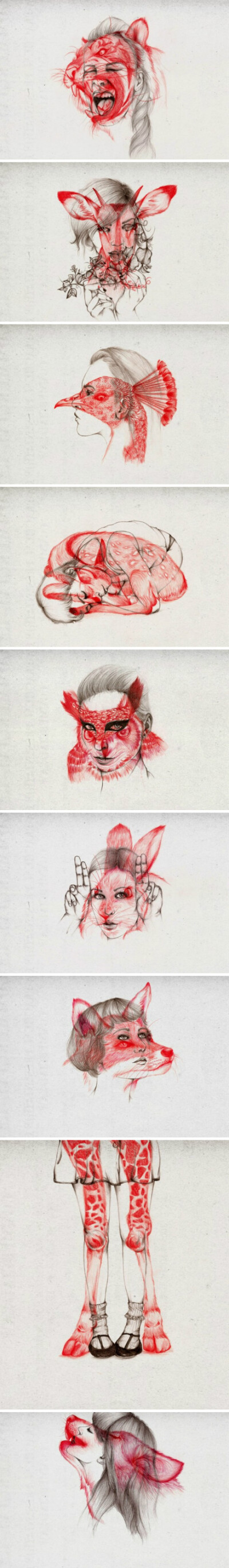 Peony Yip Animal Morphing Illustrations via