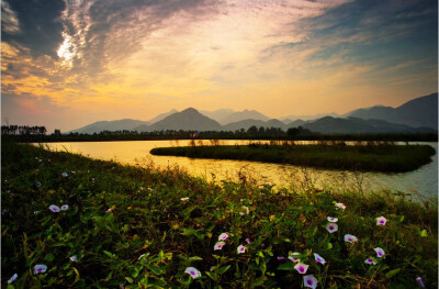 广东江门的银湖湾，夕阳无限好，暖了湖面，暖了小花。