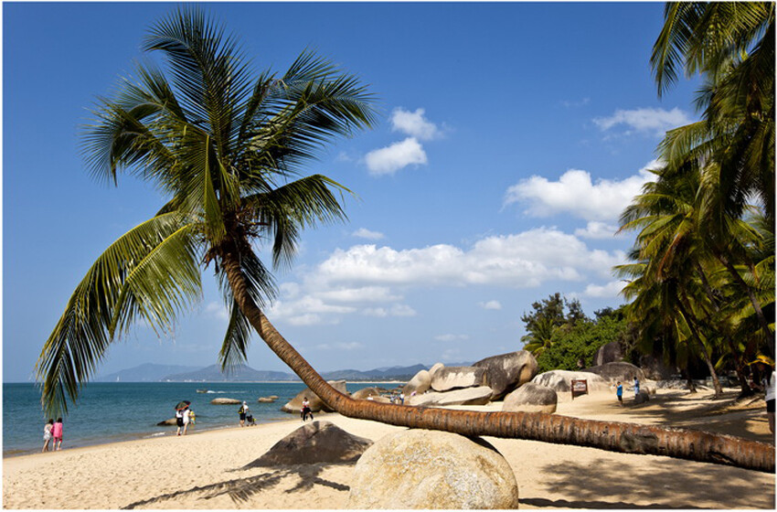 暖湿的海风，蔚蓝的海洋，风姿摇曳的椰子树，这就是三亚湾！
