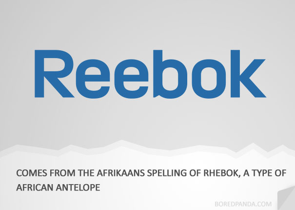 源于南非公用荷兰语中短角羚（一种非洲羚羊）的拼写。
