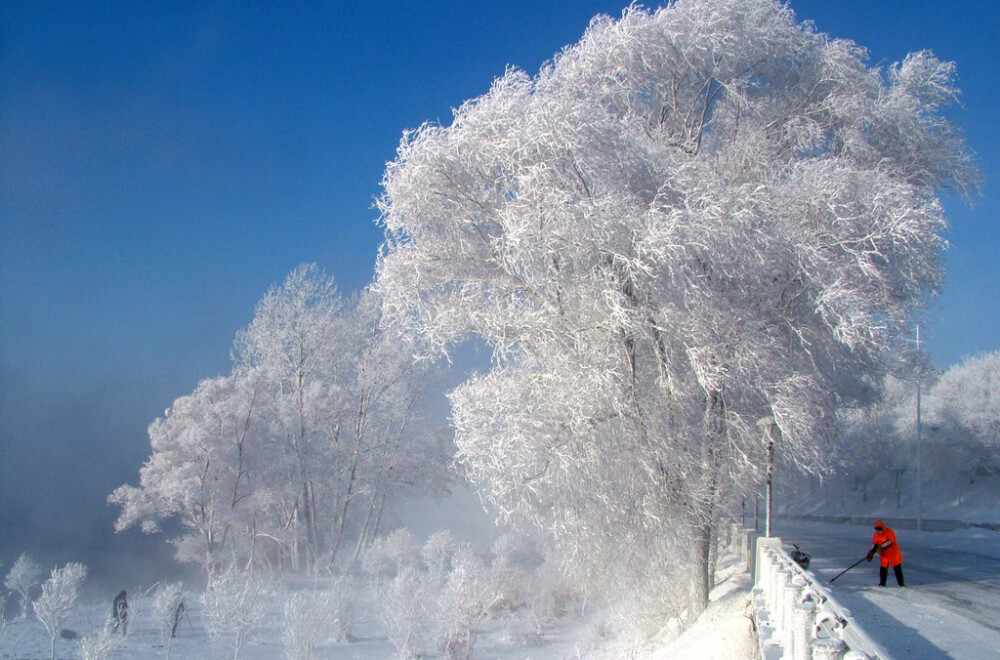 车窗外沿途的雪淞，车窗内愉悦的心情~