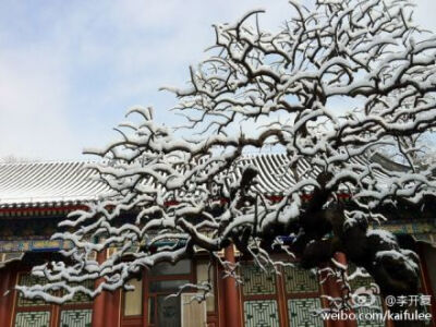 颐和园，晨雪。