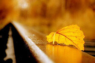 《堕落的艺术》