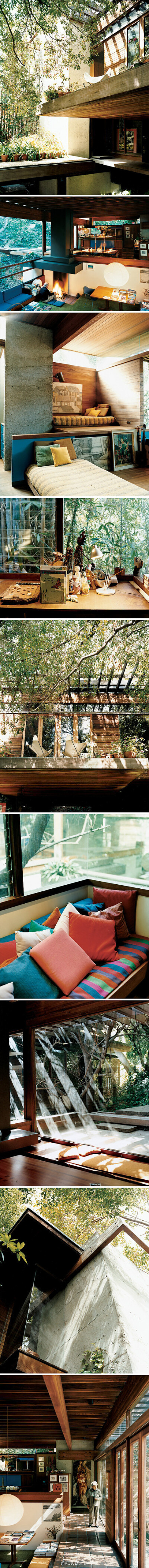 建筑师Ray Kappe于1967年在加州Pacific Palisades的峡谷中建造的自宅