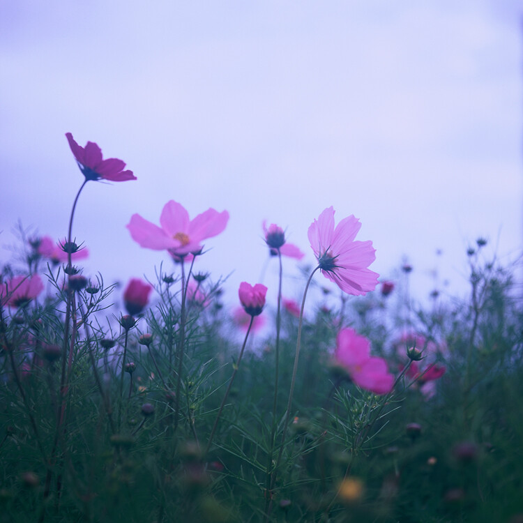 你是我的風(fēng)景》.....