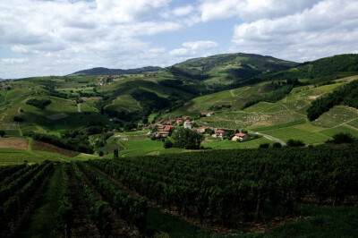 博若莱地区（Beaujolais） 勃艮第的南部，多为山坡地貌，在坚硬的花岗岩层上覆盖着风化的碎石，硅土、矿物质含量丰富，是十个特级葡萄园的所在地，全世界最著名的新酒产区，一直是全球新酒爱好者的天堂，梦寐以求、…