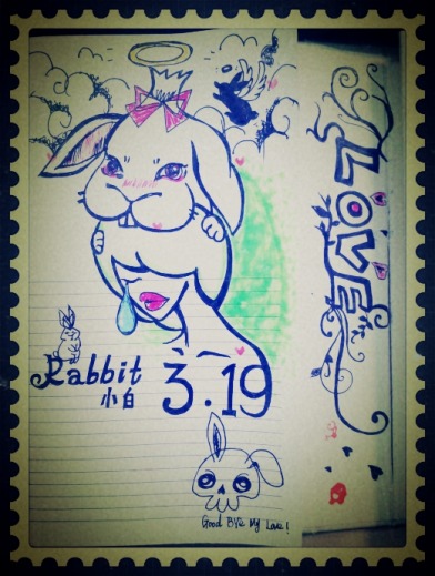 我的rabbit。。。88.55555555555555