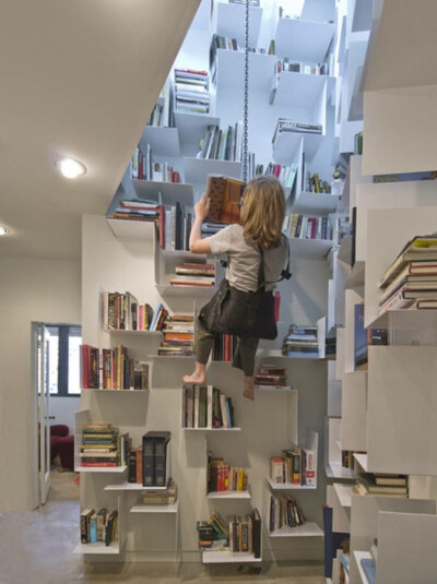 extreme bookshelf