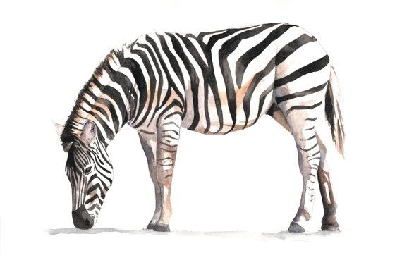 Zebra Painting print of Watercolor painting A4