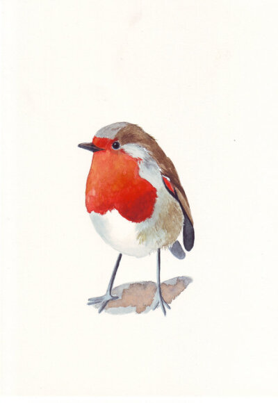 Robin painting - Print of watercolor painting 5 by 7