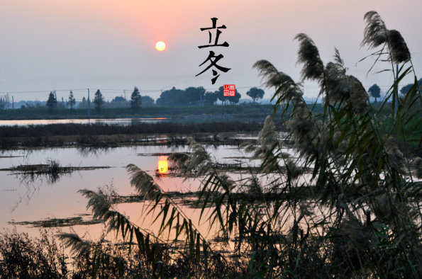 细雨生寒未有霜，庭前木叶半青黄。 ------------《立冬即事》