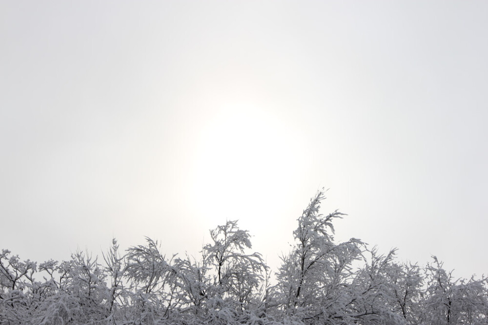 美丽的北京早晨 温暖的雪