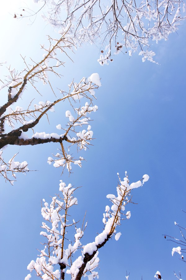 美丽的北京早晨 温暖的雪