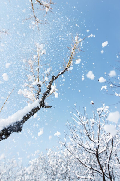 美丽的北京早晨 温暖的雪