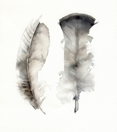 Turkey Feathers- Archival print of Watercolor