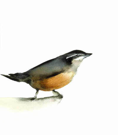 Nuthatch Archival print of original watercolor- bird art