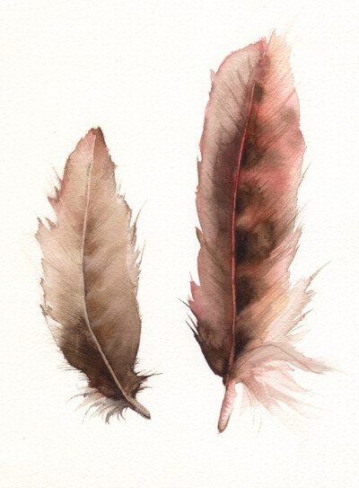 Feathers No. 2 feather painting, nature, archival print.