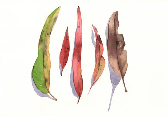 Eucalyptus Leaves Painting - print of watercolor painting