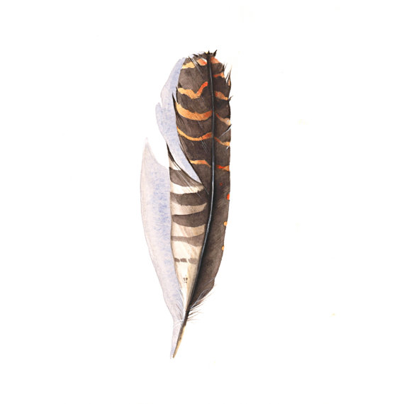 Feather Painting brown - print of watercolor painting 5 by 7